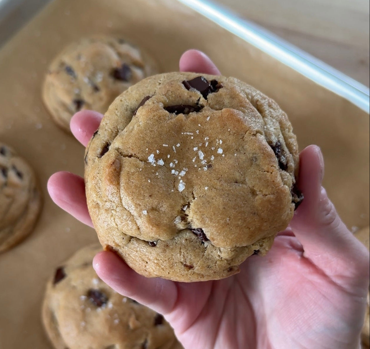 Chocolate Chunk Cookies