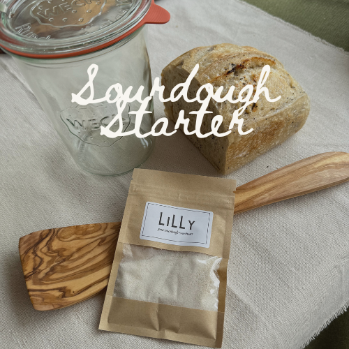 Dehydrated Sourdough Starter